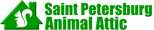 Saint Petersburg Animal Attic
